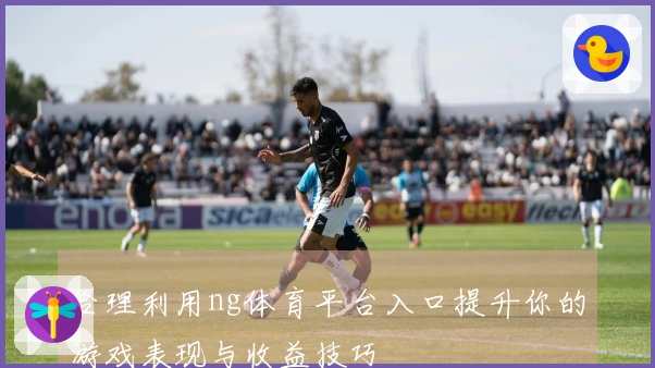合理利用ng体育平台入口提升你的游戏表现与收益技巧