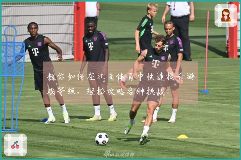 教你如何在江南体育中快速提升游戏等级，轻松攻略各种挑战！