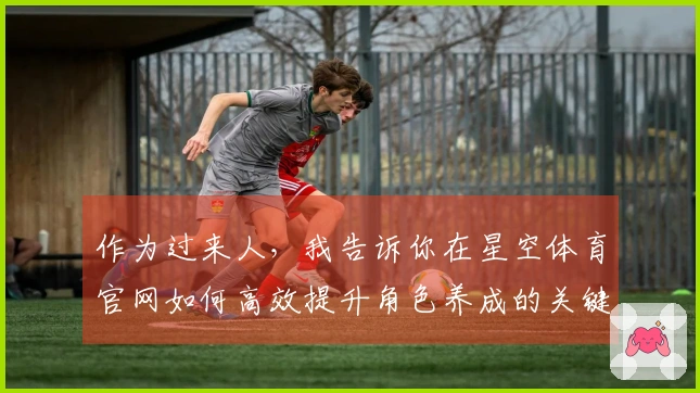 作为过来人，我告诉你在星空体育官网如何高效提升角色养成的关键技巧