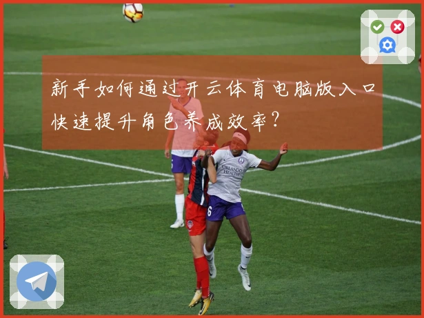 新手如何通过开云体育电脑版入口快速提升角色养成效率？