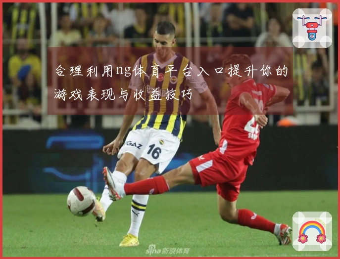 合理利用ng体育平台入口提升你的游戏表现与收益技巧